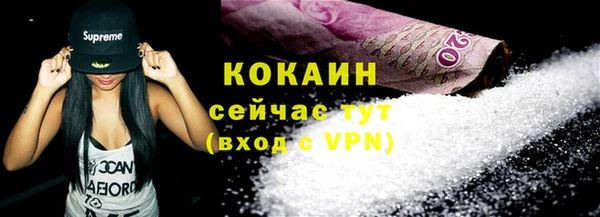 круглые Гусев
