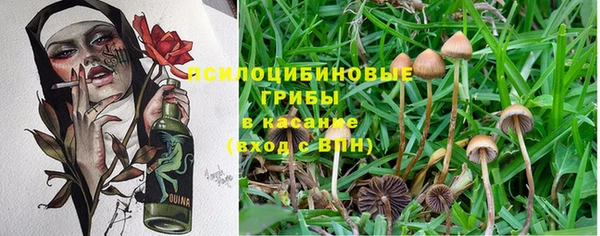 спайс Дмитровск