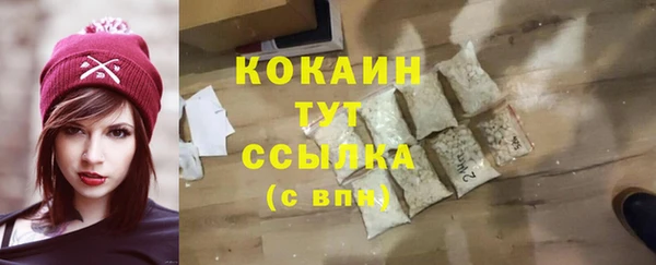 круглые Гусев