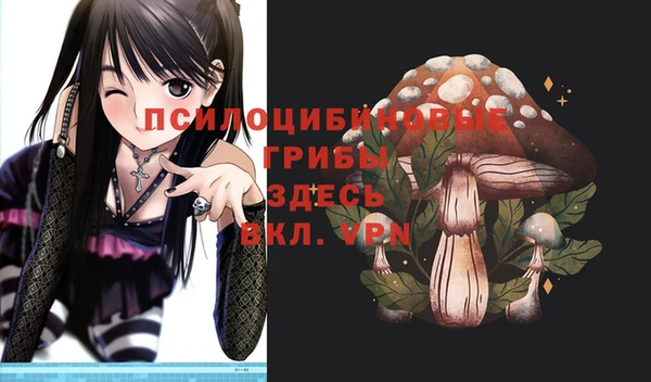 экстази Дмитров