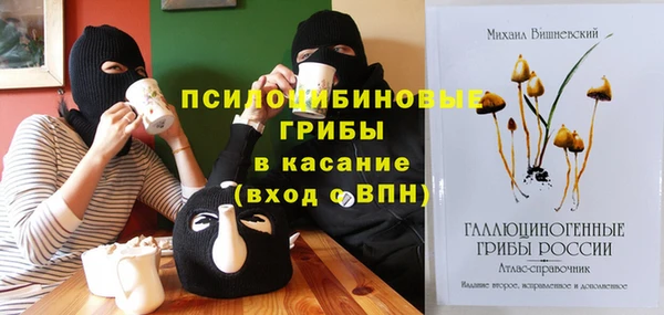 круглые Гусев