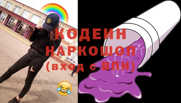 круглые Гусев